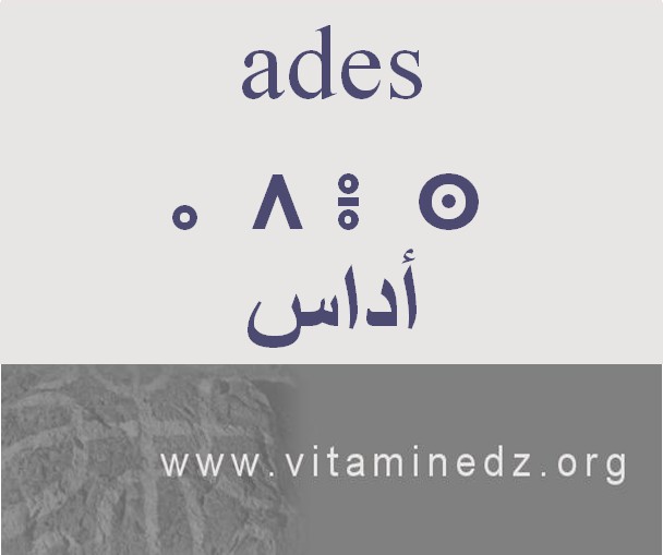 الجذور الأمازيغية في لهجة منطقة الغزوات و ضواحيها - أَداس –