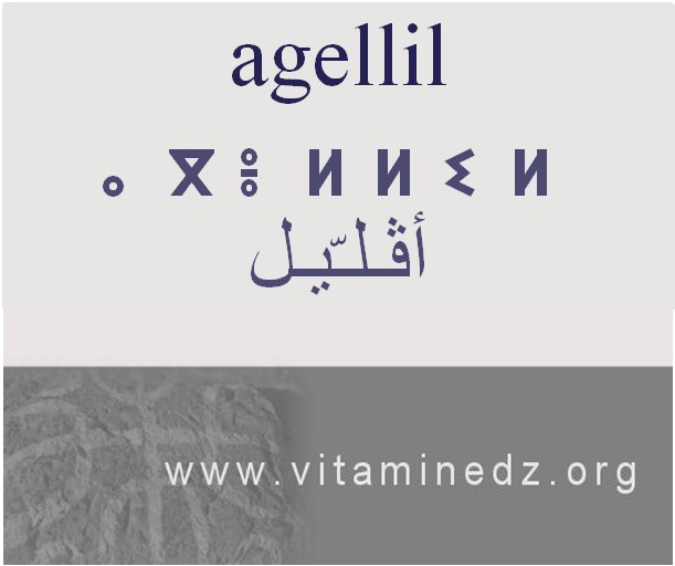 الجذور الأمازيغية في لهجة منطقة الغزوات و ضواحيها - أَڨّليل أو الڨّليل –