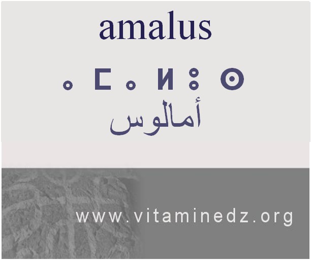 الجذور الأمازيغية في لهجة منطقة الغزوات و ضواحيها - أَمـــالـــوس –