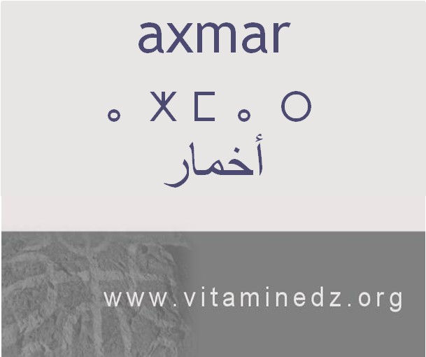 الجذور الأمازيغية في لهجة منطقة الغزوات و ضواحيها - أَخمار –