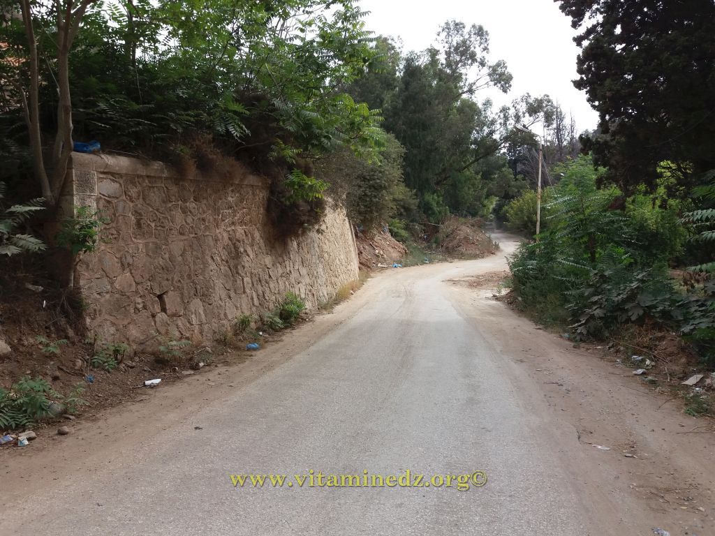 طريق واد البير نحو المقبرة اليهودية  بالغزوات - تلمسان