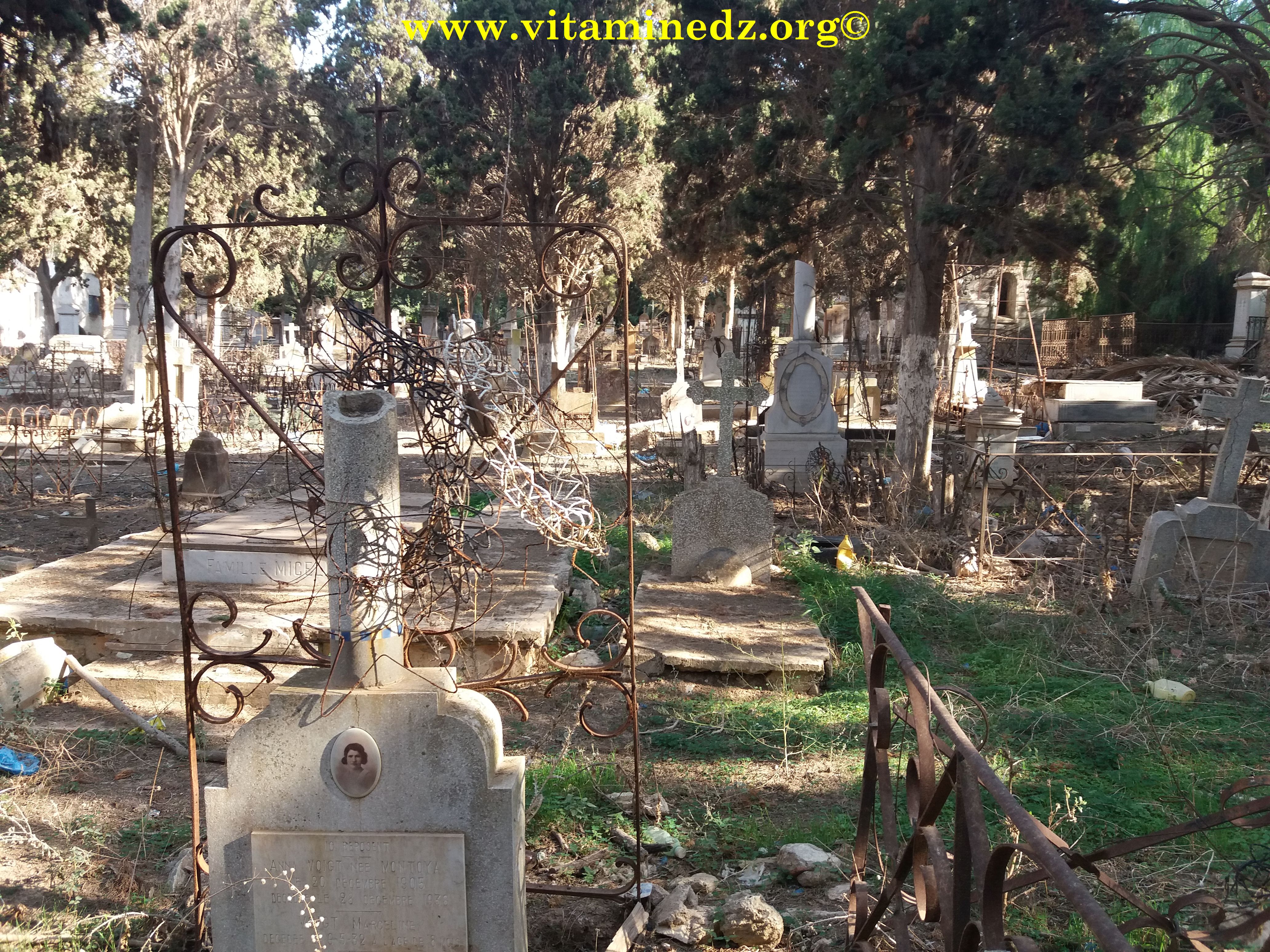 Au centre du cimetière chrétien de Ghazaouet (ex Nemours) Tlemcen
