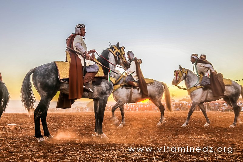 Jeunes cavaliers - Waada et Fantasia au village de Chleida (Tlemcen - Commune Amieur)