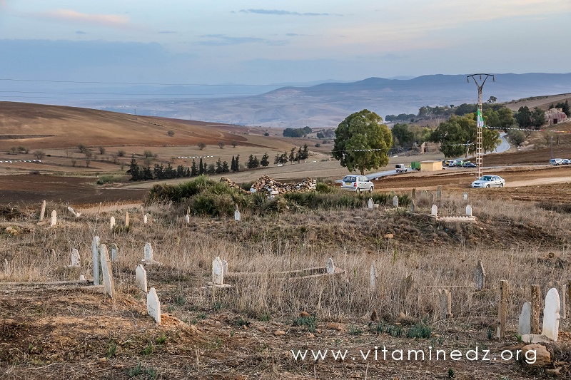 Cimetière du village de Gharota (Commune de Bensekrane)
