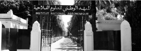 Algérie - Un vent d’obscurantisme souffle sur l’université algérienne: Tahar Hadjar inaugure une ère de tyrannie contre l’élite scientifique