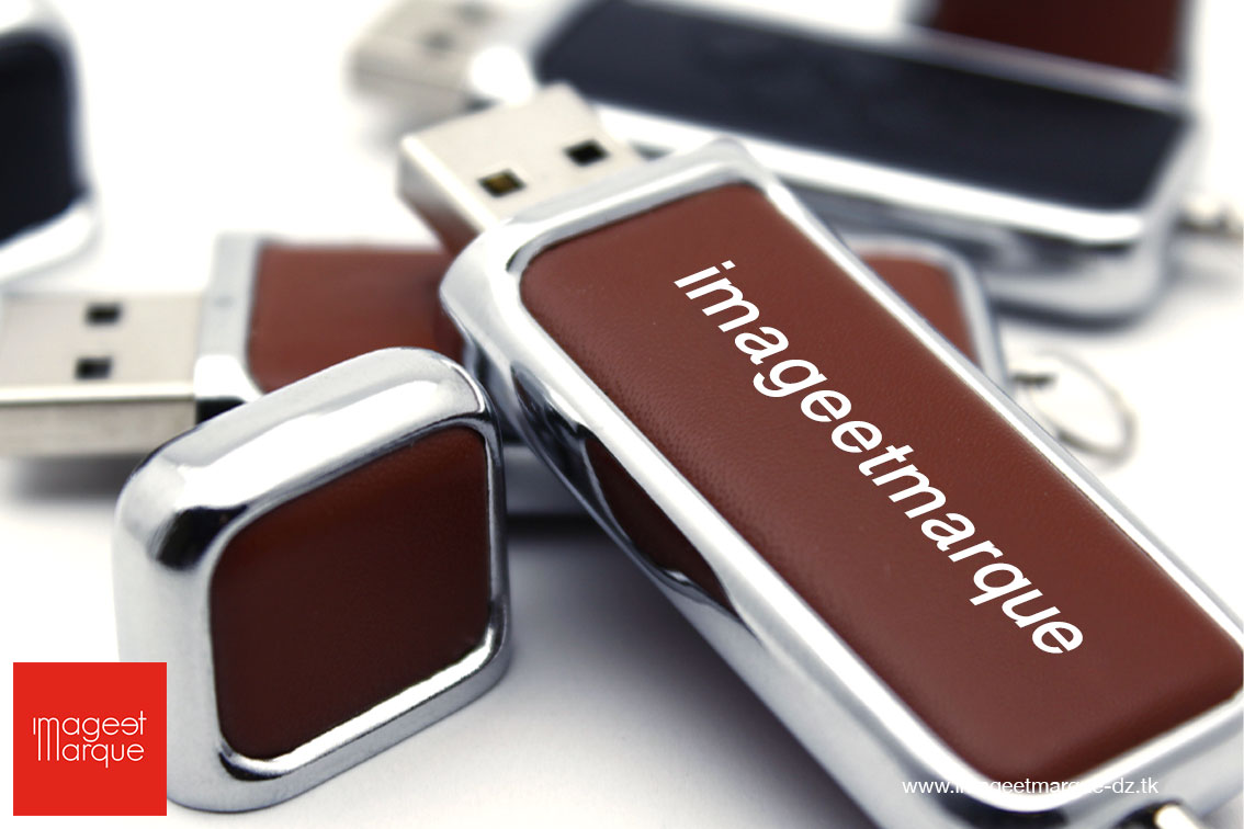 Clé USB personnalisée Hydra Alger