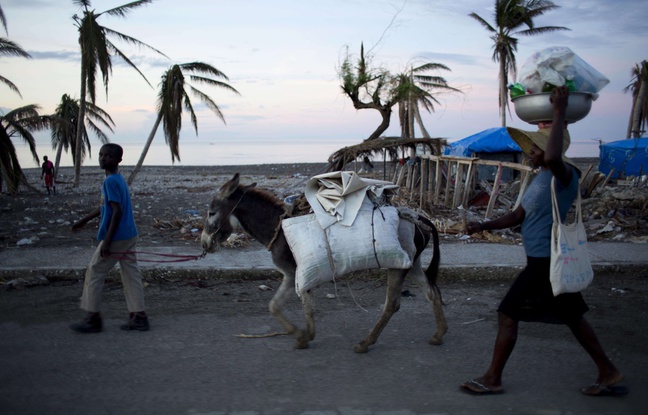 Planète - Les catastrophes naturelles font basculer chaque année 26 millions de personnes dans la pauvreté
