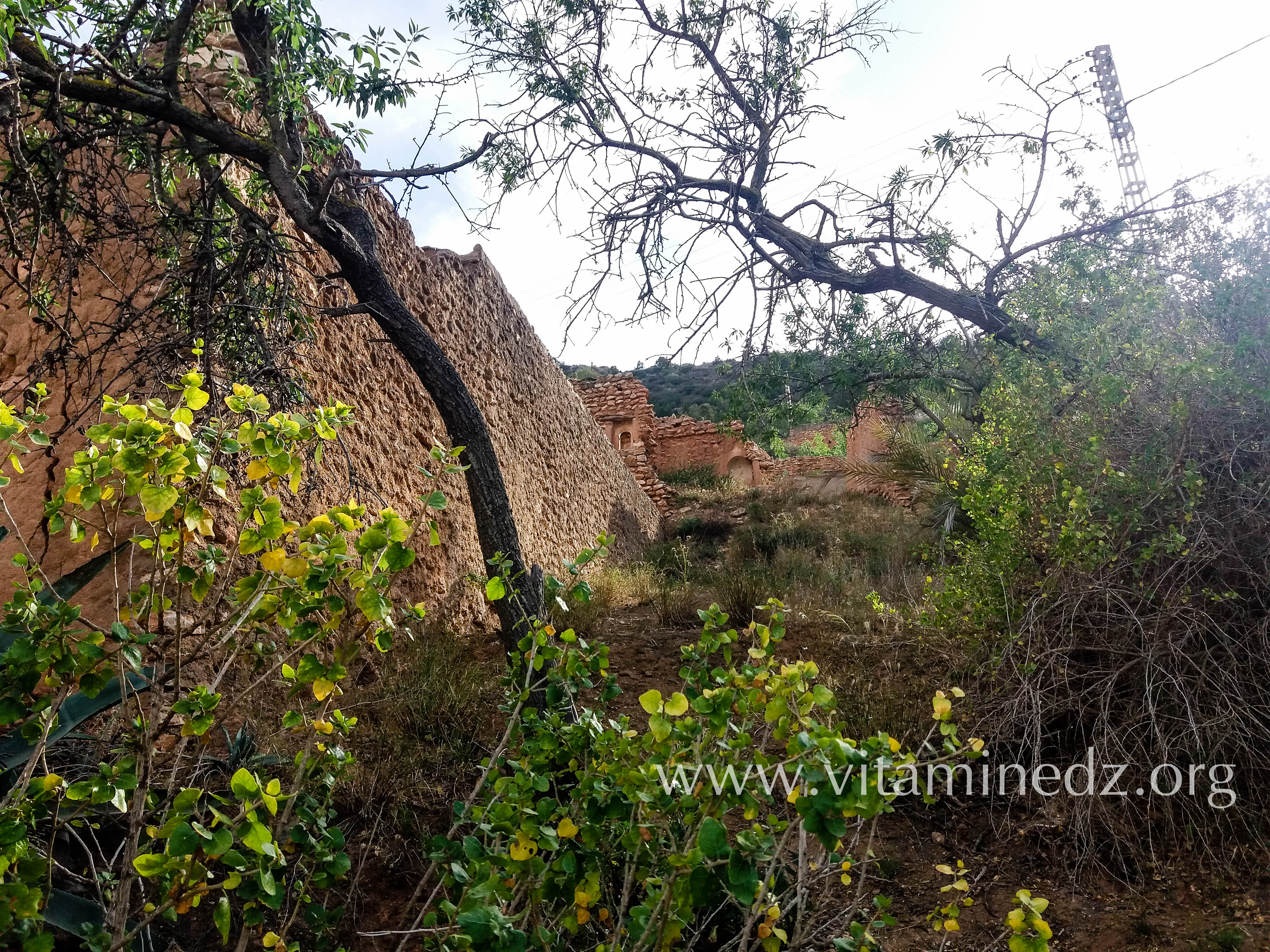 أطلال لمنازل قديمة بواد الرمان بمنطقة جامع الصخرة الغزوات