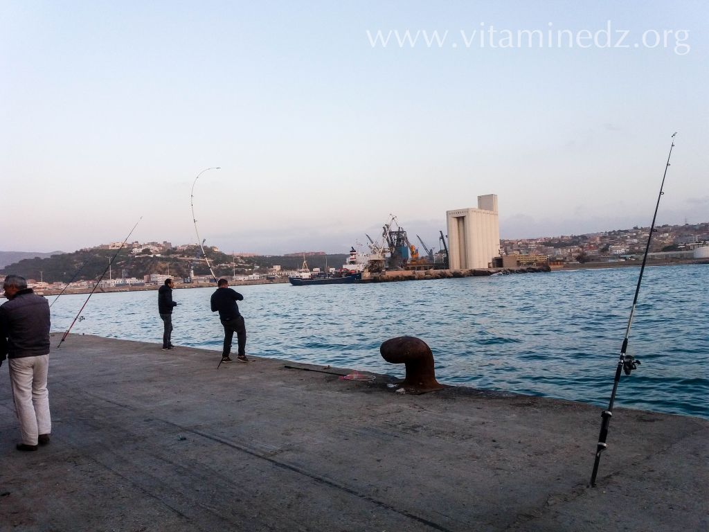 هواية الصيد بالغزوات – تلمسان