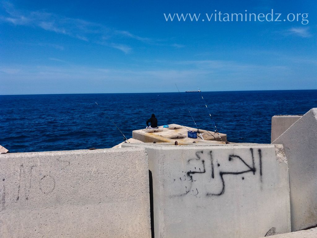 الجهة الخلفية la jetée لميناء الغزوات تلمسان