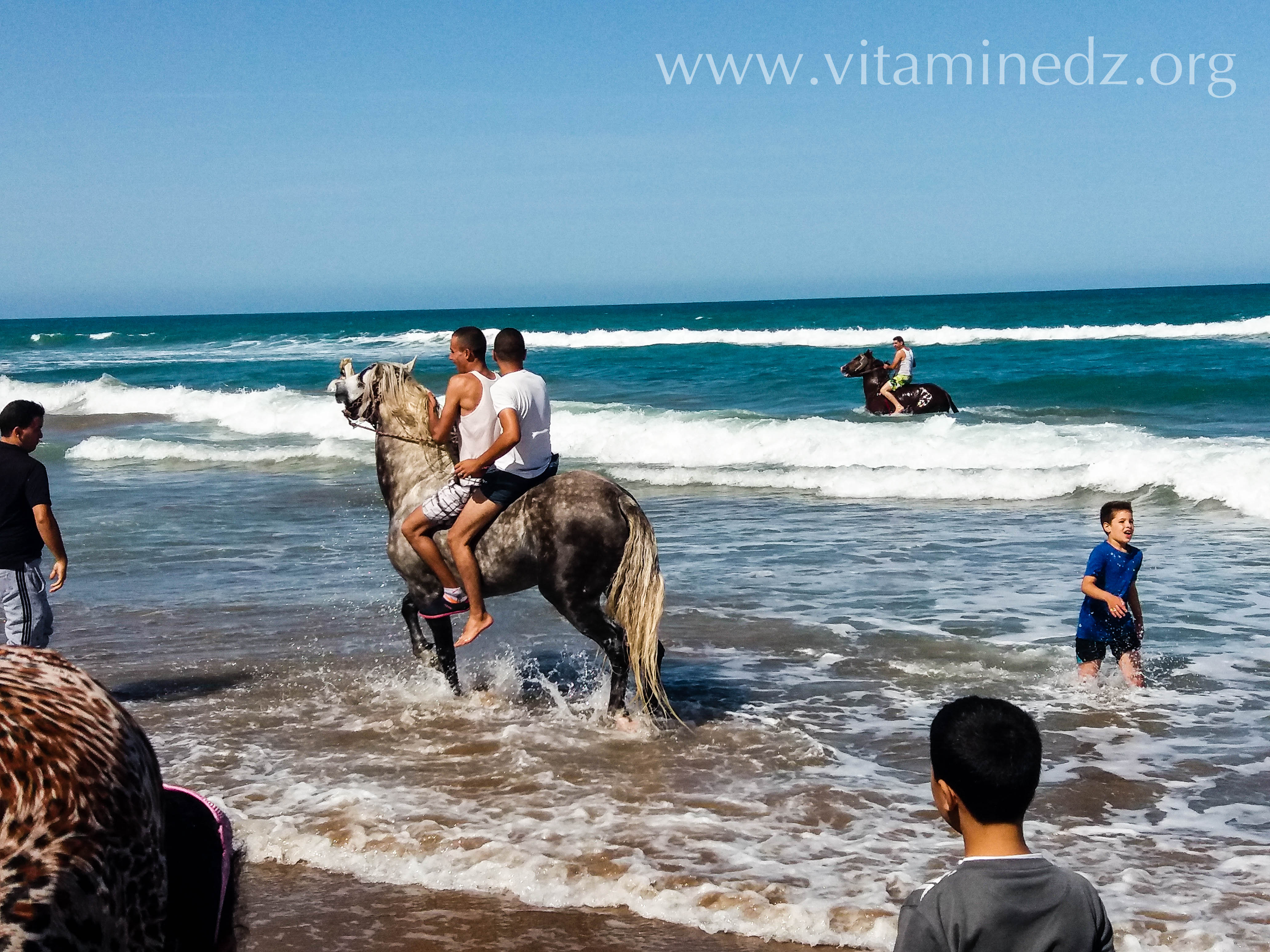 شاطئ مرسى بن مهيدي 15/10/2016 - تلمسان