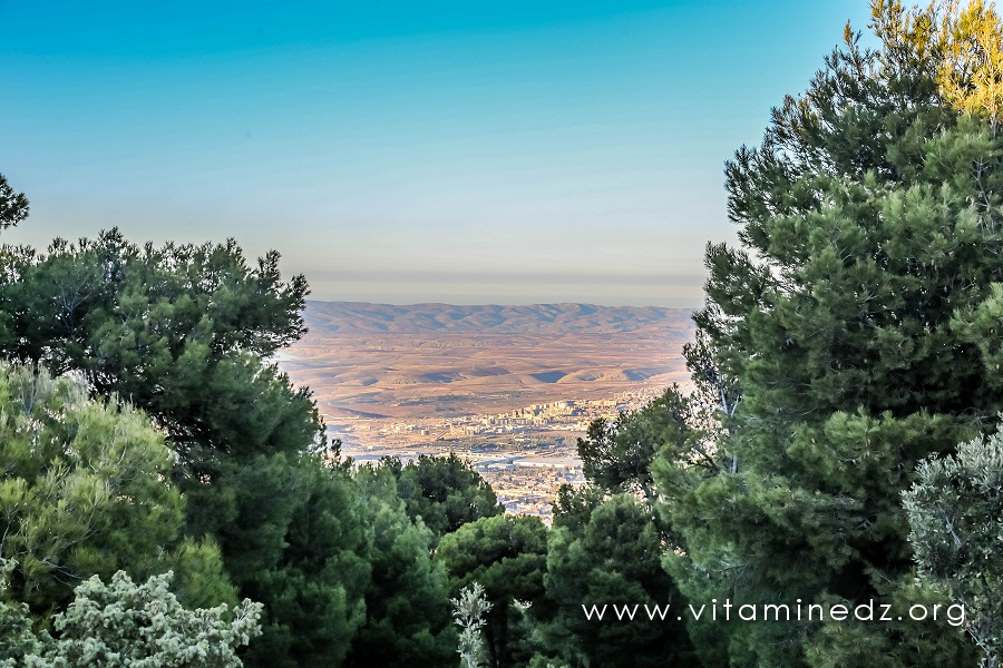 Foret de Tlemcen, vue sur les plaines de Saf Saf