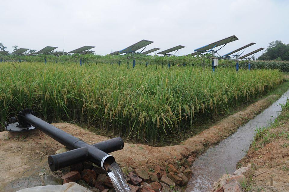 pompe à eau alimenté par énergie solaire