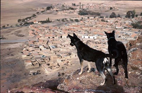 Khenchela, Algérie : partie centrale (1960)