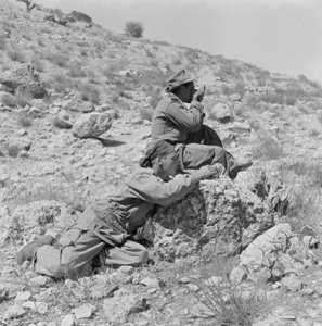 94 RI Commandos de chasse . v134 Edgard quinet Capitaine Ajilini puis Girard Harka 8 Capitaine Nouzille avec 200hommes. v138 khenchela v139 batna