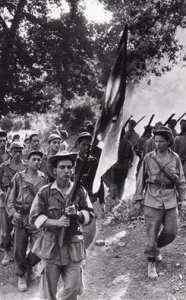 formation de Armée de Libération Nationale (guerre d'Algérie)