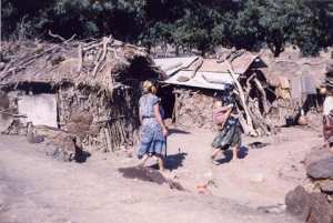 Gourbis ! région de Bouhmama