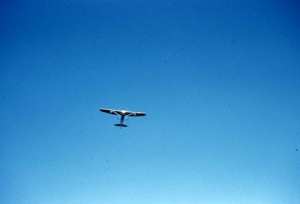 Pipper - Avion d'observation