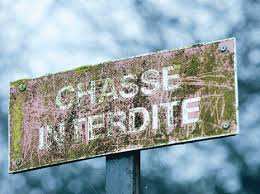 Médéa  -  La chasse illicite a pris des proportions inquiétantes