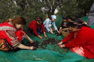 Yuɣal-d welqaḍ n-uzemmuṛ  quand les femmes bougent la vie reprend des couleurs !