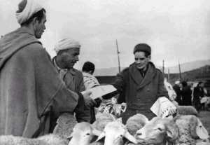 صورة لتوزيع المنشورات لـ نعم  في استفتاء على الإستقلال في السوق بخشلة