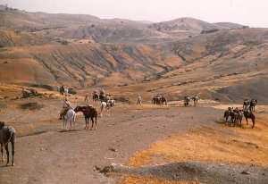 Les spahis étaient des soldats d'unités de cavalerie appartenant à l'Armée d'Afrique qui dépendait de l’armée de terre française.