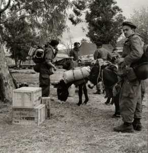 Des soldats en opération dans l'Aurès installent leur campement le 15 novembre 1954