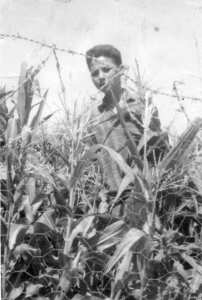 الصورة اخذت بيابوس