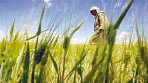 Planète - COOPÉRATION BILATÉRALE ENTRE L’ALGÉRIE ET L’UE:  Concertation sur le programme-pilote de développement rural