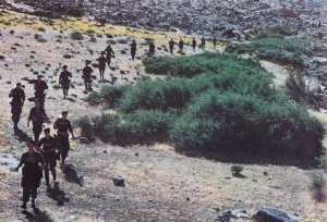 les Paras de la 25ème DIAP récemment rentrés d'Indochine ont été envoyés immédiatement en renfort dans les AURES