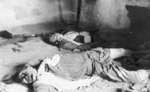 تجاوزات حرب شاملة غير معلنة في منطقة الاوراس الاشم