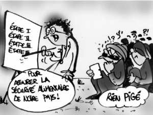 Rencontre nationale des cadres de l’agriculture à Guelma:  Quand vulgarisation doit rimer avec communication