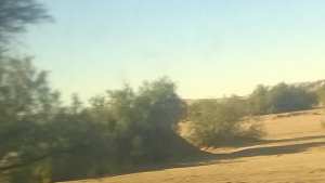 مقراني يزيد من  قايس الى تمنراست.