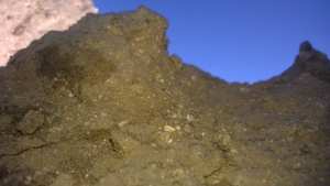 مقراني يزيد من  قايس الى تمنراست.