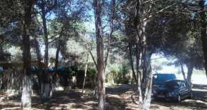 Boumerdès - LE MINISTRE DE L'AGRICULTURE L’A AFFIRMÉ JEUDI:  L’aménagement de la forêt de Zemmouri sera confié à des investisseurs privés