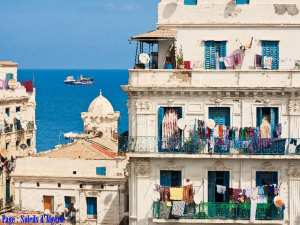 Il y a encore des Paradis  ALGER