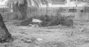 Sidi Bel Abbès -  Sept mois après sa réouverture, le jardin public dans un état lamentable