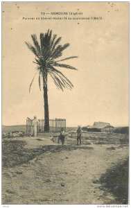 NEMOURS ALGERIE- PALMIER OU ABD-EL-KADER FIT SA SOUMISSION