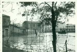 1952 inondation à Nemours Ghazaouet
