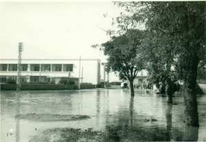 1952 inondation à Nemours Ghazaouet 6