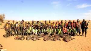 Guerrara (Ghardaia) - Protection des périmètres agricoles: Plus de 200 sangliers abattus