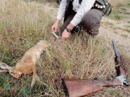 Tlemcen -  Mobilisation contre le braconnage