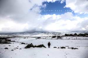 La neige à Tlemcen, Région d'El Mefrouche (Terny Beni Hdiel)