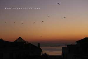 Sur les toits d'Alger - Photos d'Alger la nuit