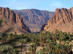 Biskra : El Kantara.