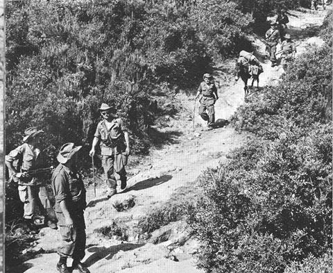 Colonel TASSEL en patrouille avec le commando de Chasse de Corneille dans le djebel AZEGZA aurès