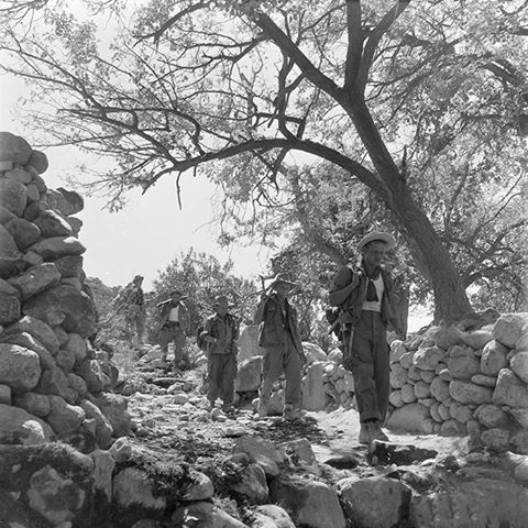 94 RI Commandos de chasse . v134 Edgard quinet Capitaine Ajilini puis Girard Harka 8 Capitaine Nouzille avec 200hommes. v138 khenchela v139 batna