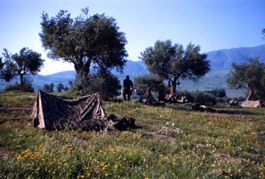 Camp des OLIVIERS dans les Aurès