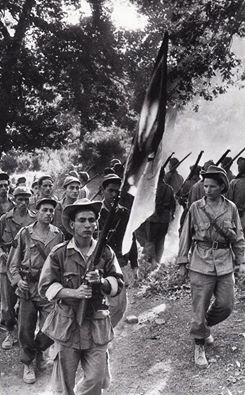 formation de Armée de Libération Nationale (guerre d'Algérie)