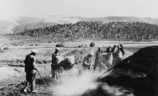 Fabrication de charbon de bois par les gens du village.Djebel Chélia